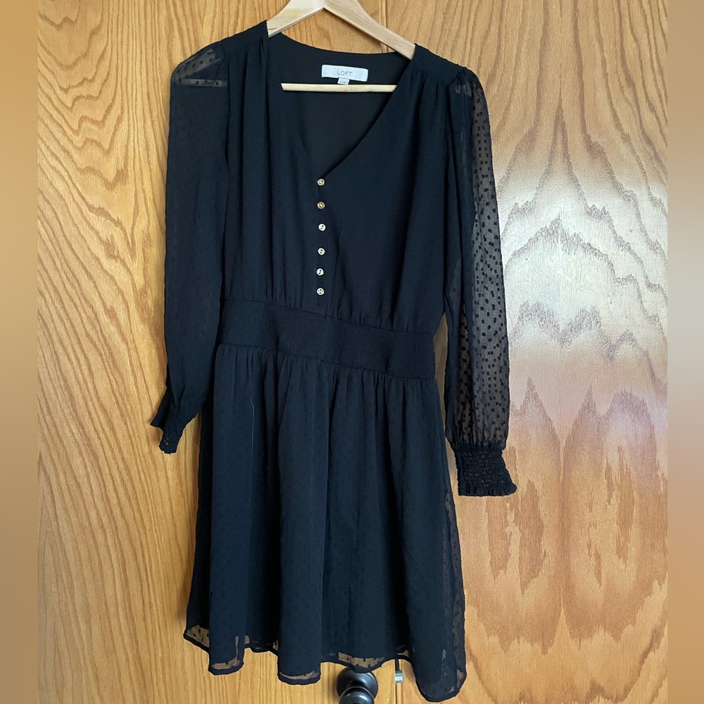 Long sheer sleeve black dress.